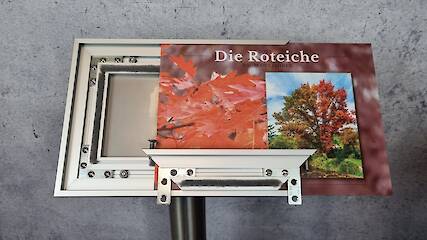 Edelstahl-Säule 60 mit Aluminium-Rahmen 50-20 A4 quer - Plattenwechsel und Verschlussprofil